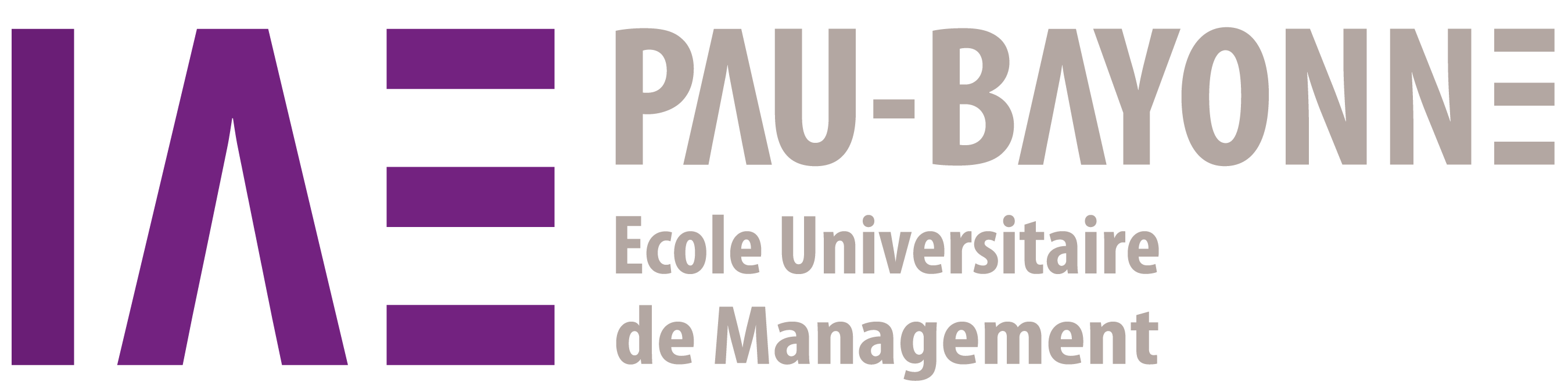 IAE-PAU-BAYONNE-COULEUR